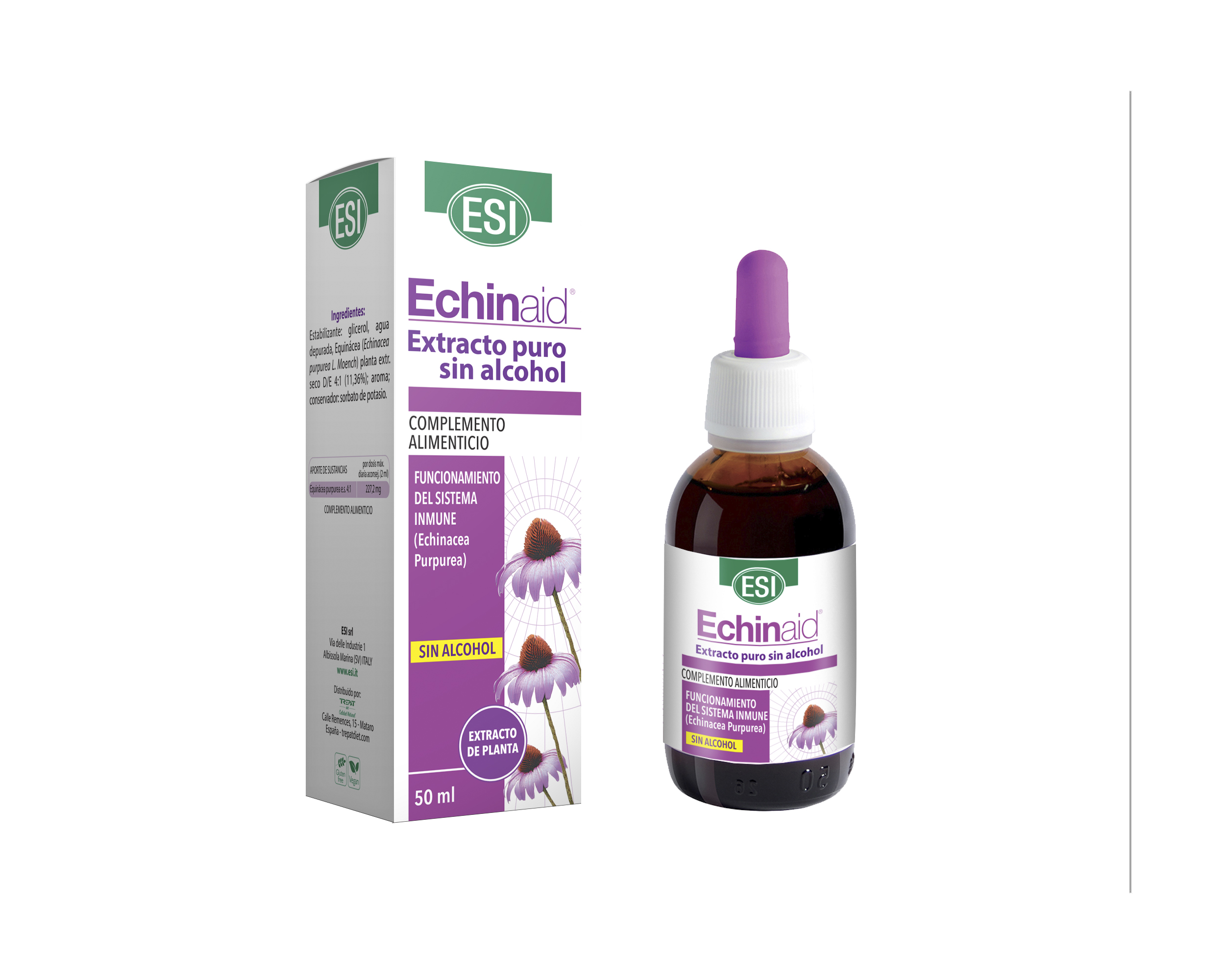 BASEPROD_Echinaid_SA