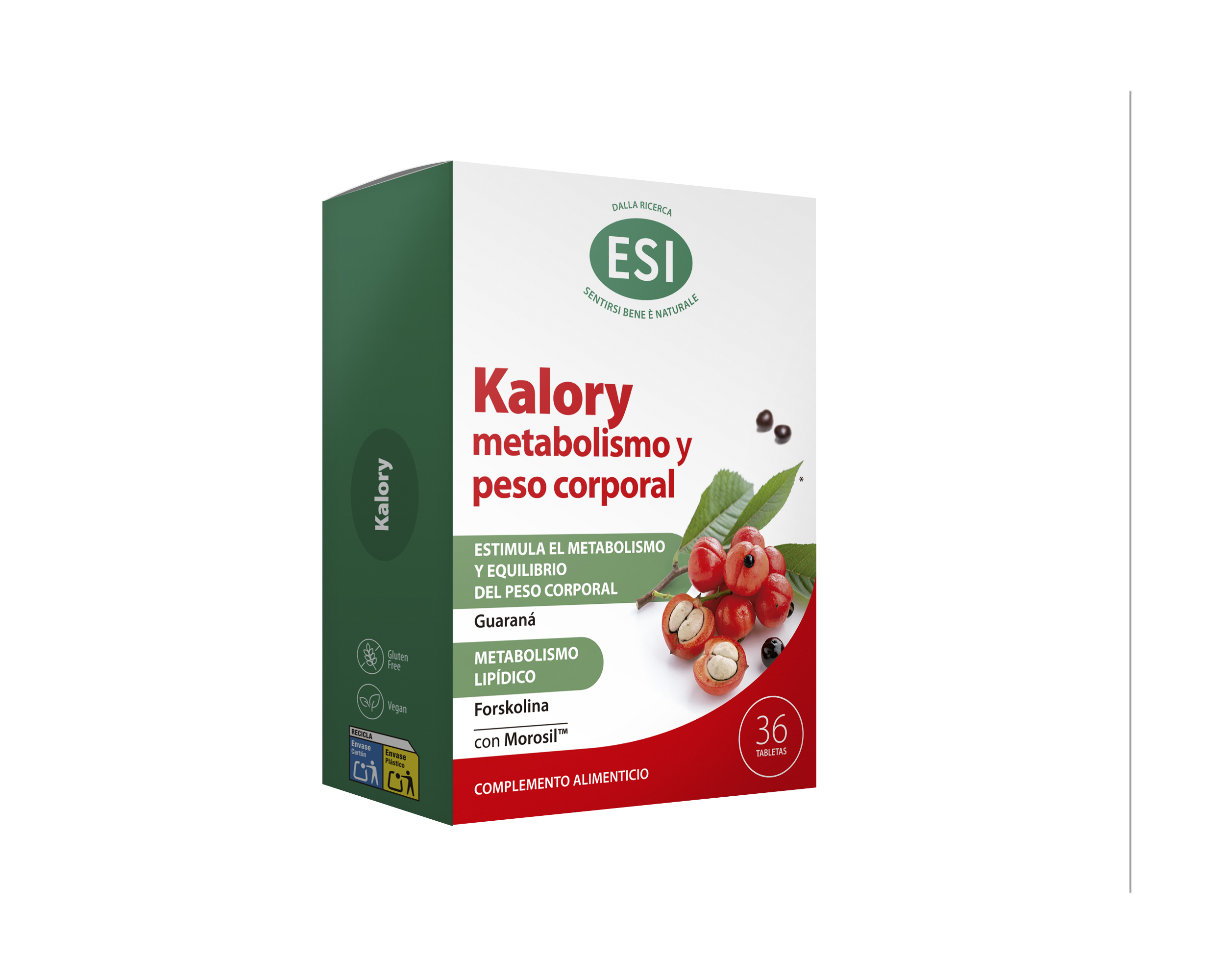KALORY METABOLISMO Y PESO CORPORAL_PROD